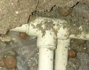 绿春测漏水多少钱