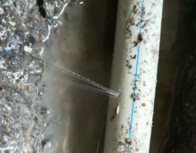 绿春测漏水哪家好