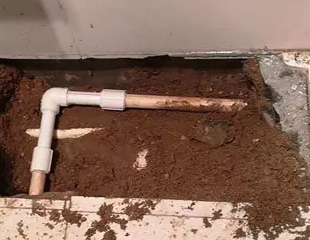 绿春测漏水哪家好