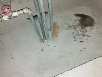 绿春卫生间测漏水价格明细