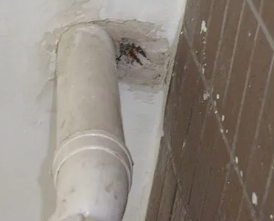 绿春漏水检测哪家好