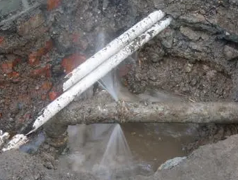 绿春测漏水多少钱